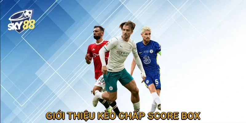 Giới thiệu kèo chấp score box trong cá cược bóng đá
